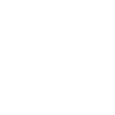 Dexpert Global